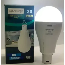 Лампочка Led-лампа з акумулятором 2 x18650 30w Rainberg P921  