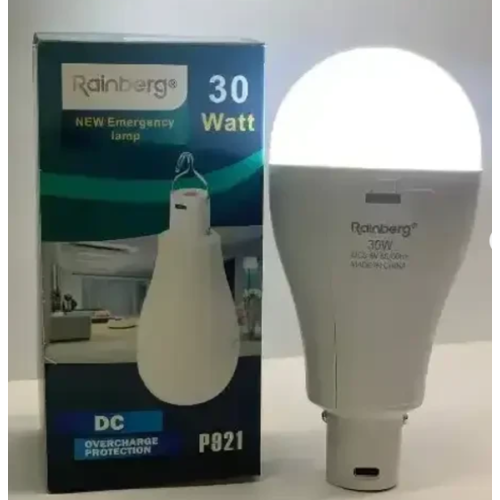 Лампочка Led-лампа з акумулятором 2 x18650 30w Rainberg P921